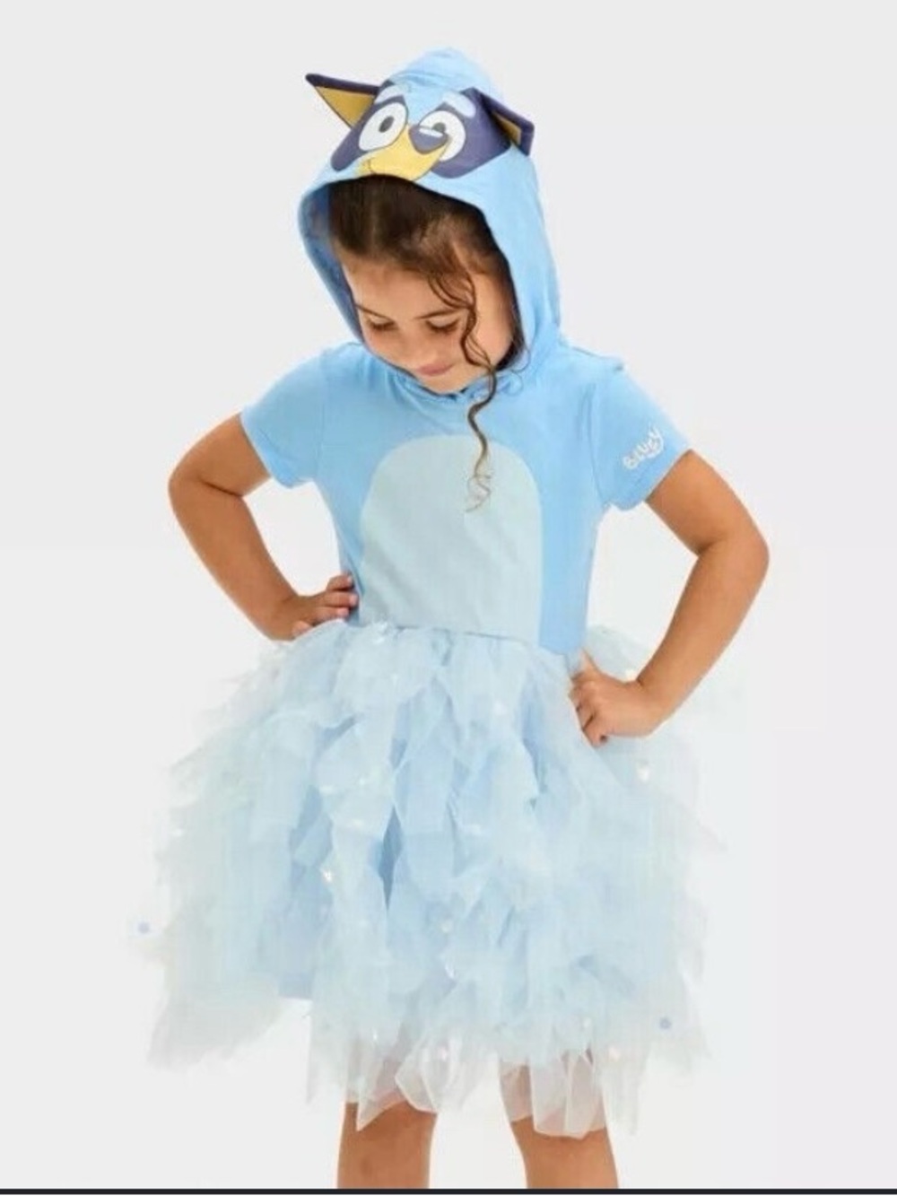 Girls blue Bluey hooded costume dress with a ruffled tutu skirt